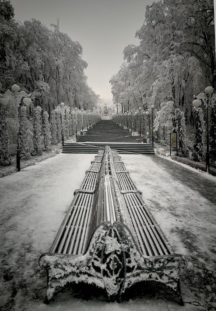 Photograph by Владимир Кривенко