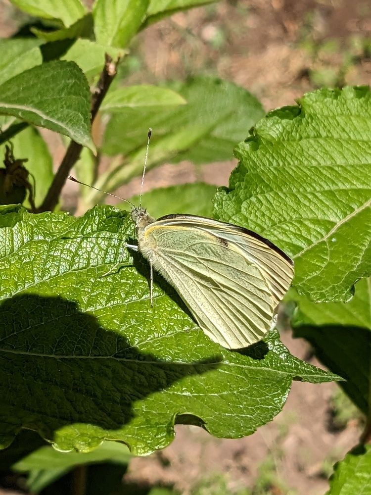 Photograph by Lilit Petrosyan