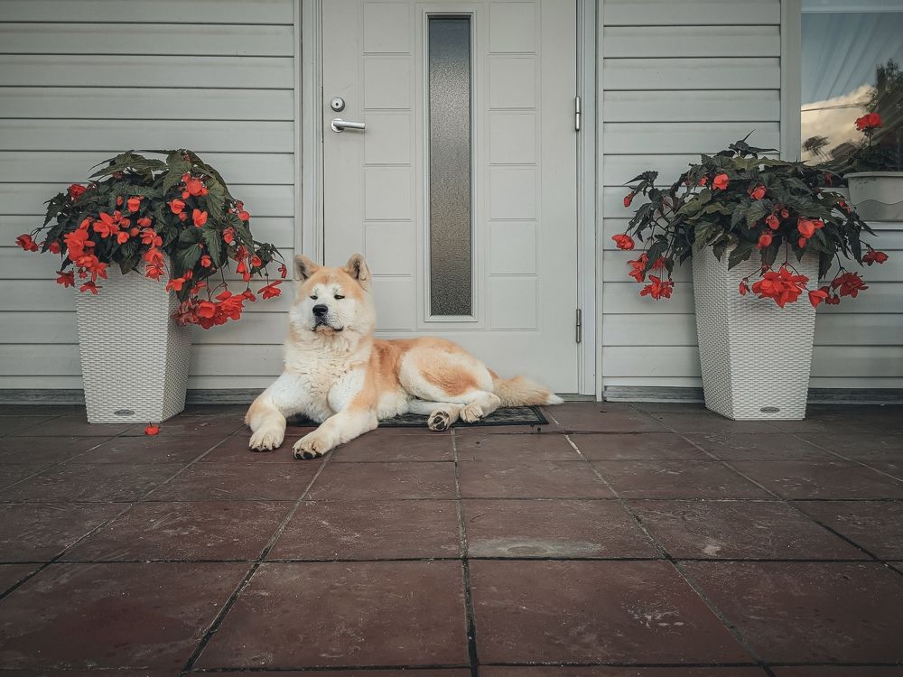 Photograph by Алексей Горин