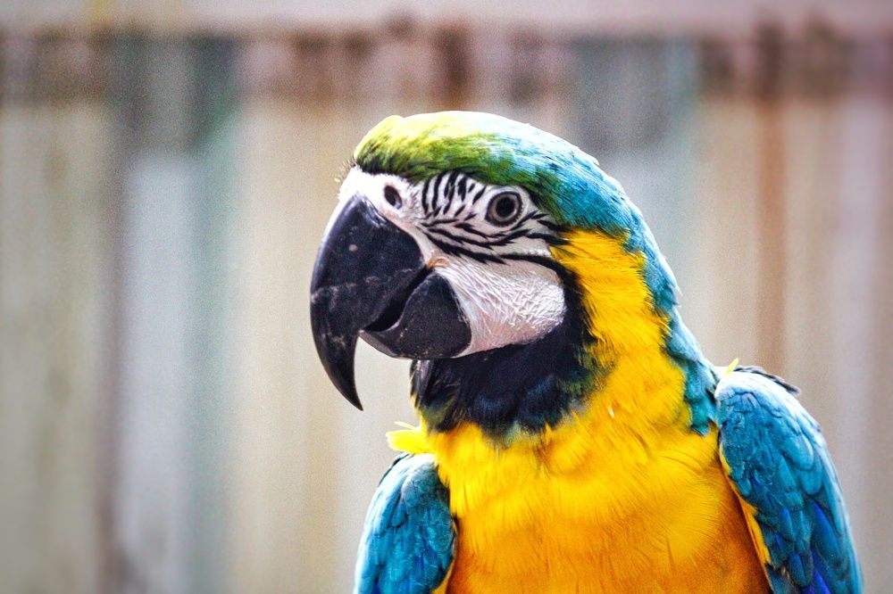 Photograph by Praveen kumar Sampath