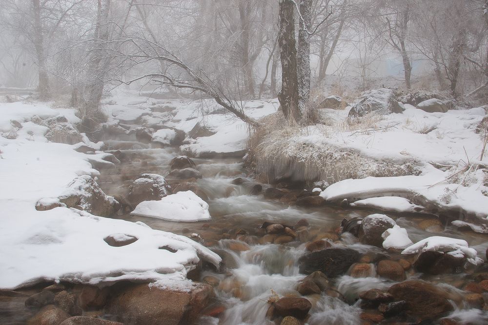 Photograph by Леонид Дьяченко