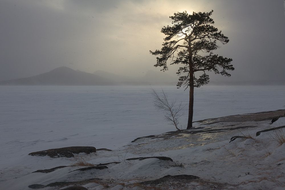 Photograph by Леонид Дьяченко