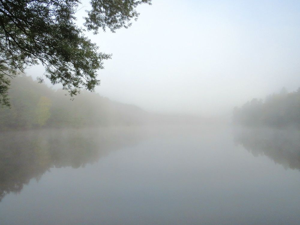 Седая пелена тумана