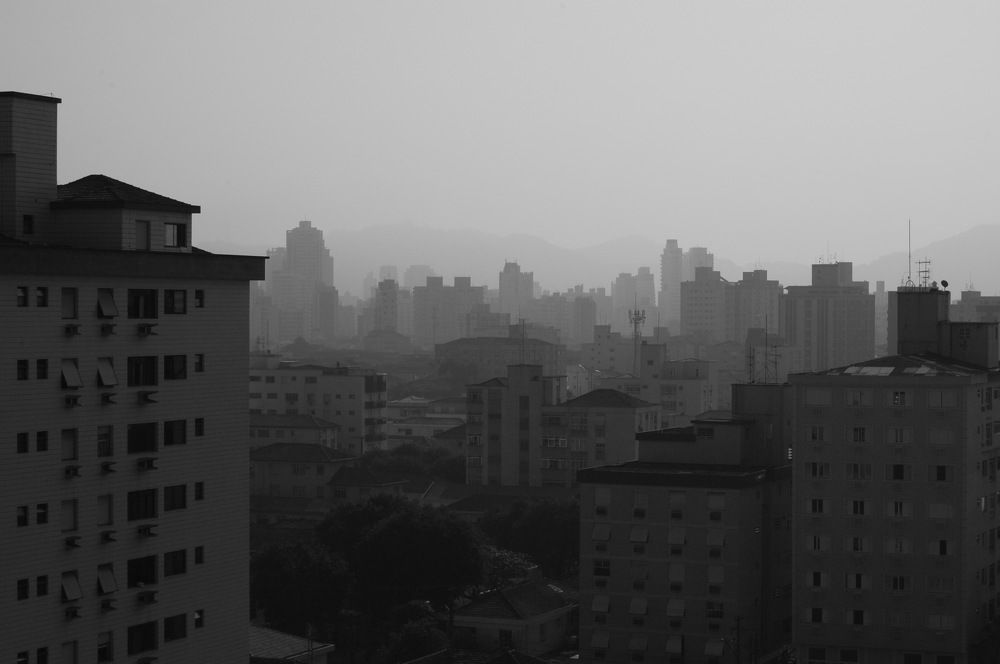 Photo #9220698