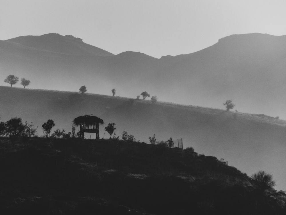 Фотография автора ako abdi