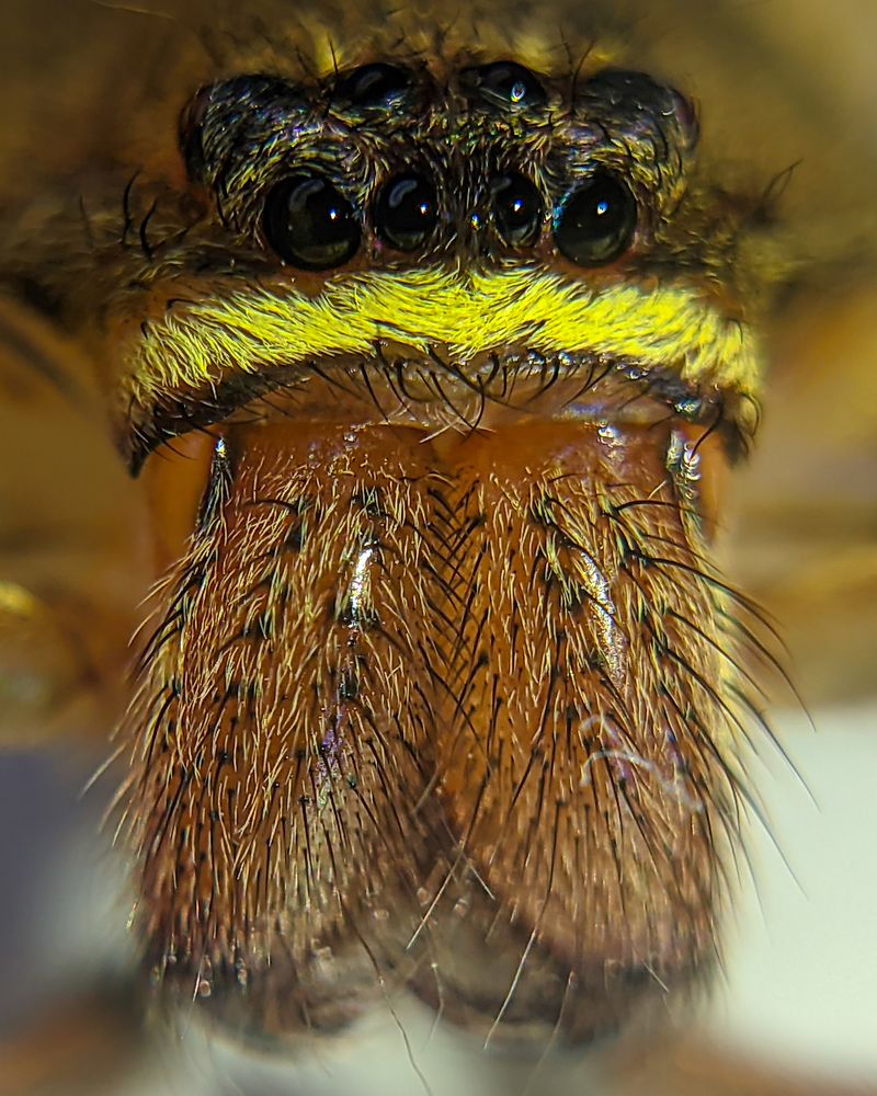 Photograph by Vaishnav K V