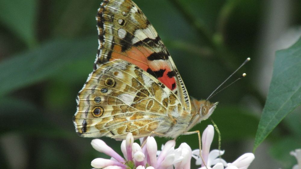 Photograph by Аlessandro