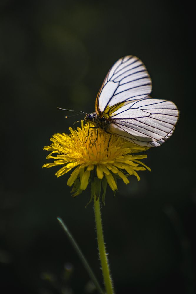 Photograph by Николай Головко