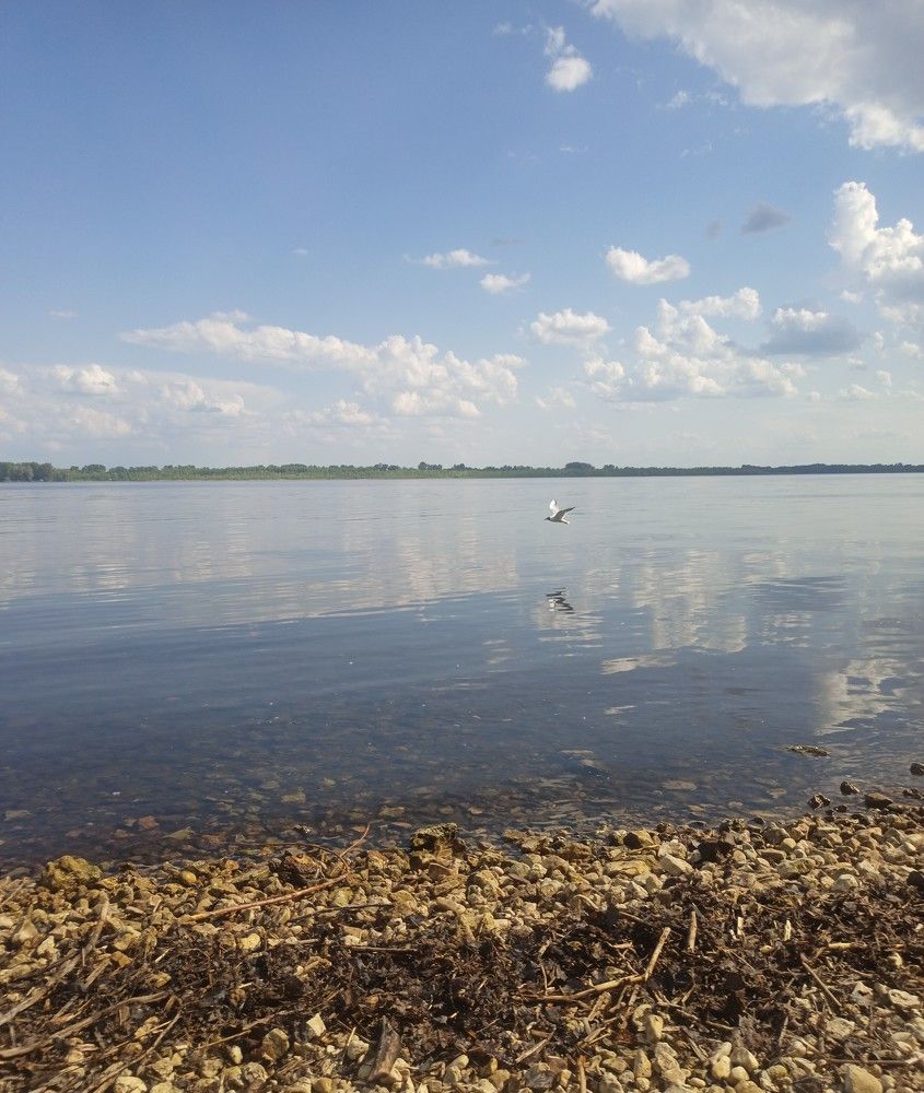 Photograph by Елизавета Мишина