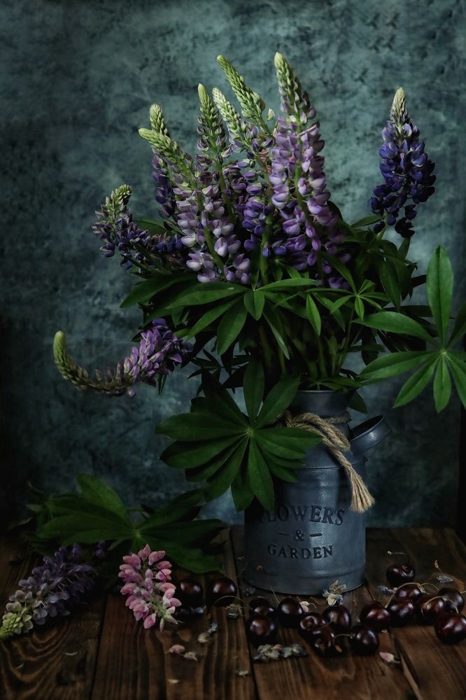 Photograph by Angelica Medvedeva