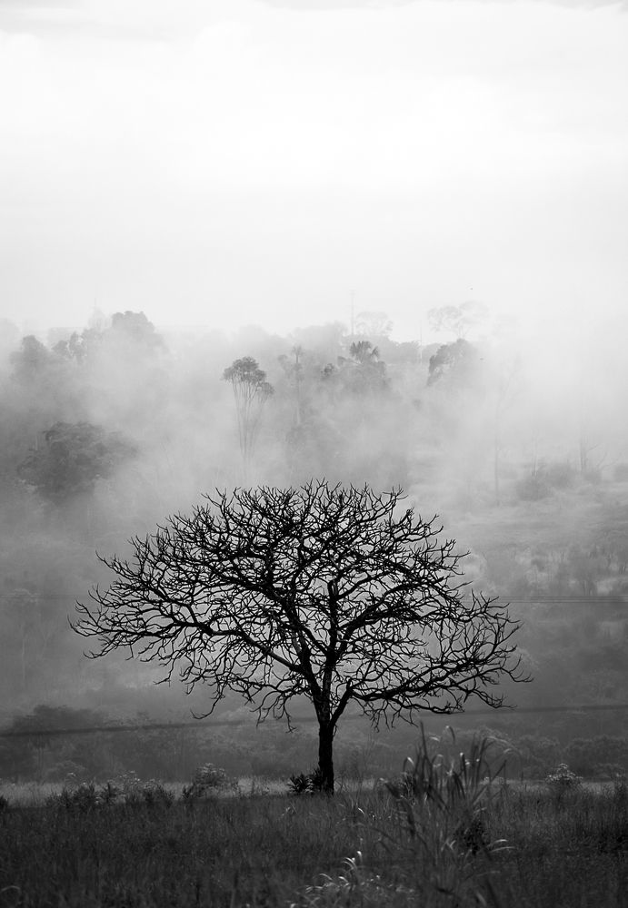 Фотография автора Maichel de Paula