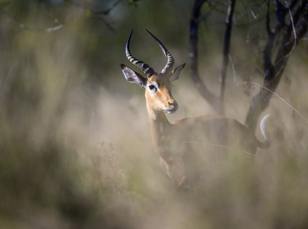 Photograph by Sergey Puponin