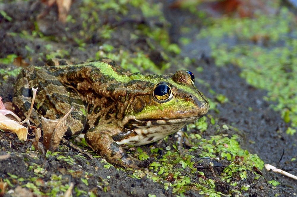Фотография автора Галина