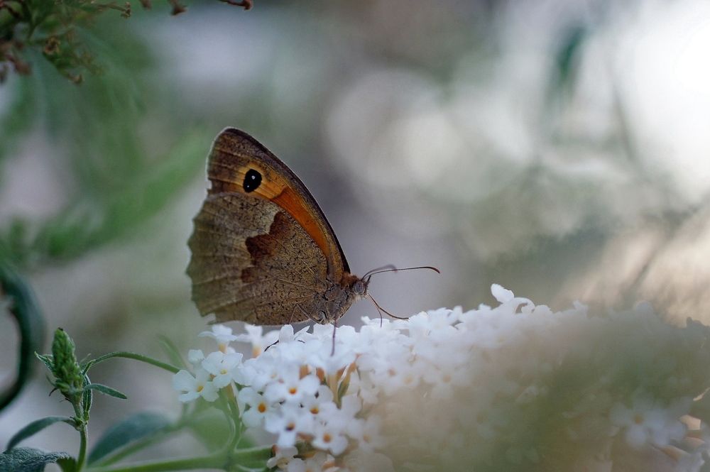 Фотография автора Галина