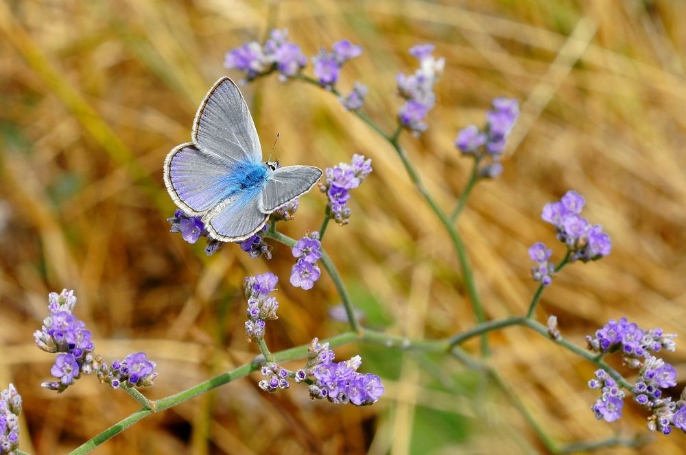 Фотография автора Галина