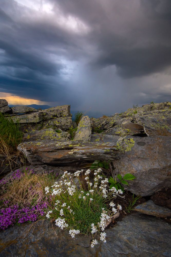 Photograph by Жданов Дмитрий