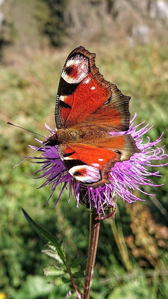 Photograph by Анатолий Бондаренко