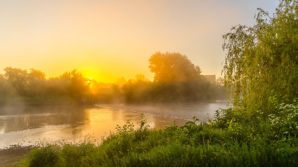 Туманное утро на реке Быстрая Сосна.