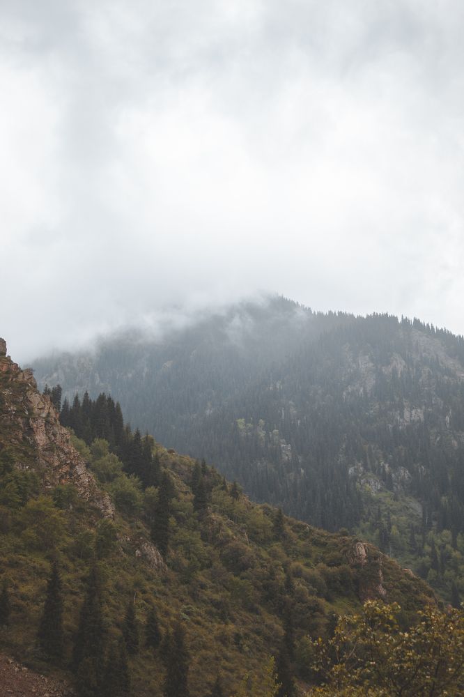 Photograph by Даниил Щербаков