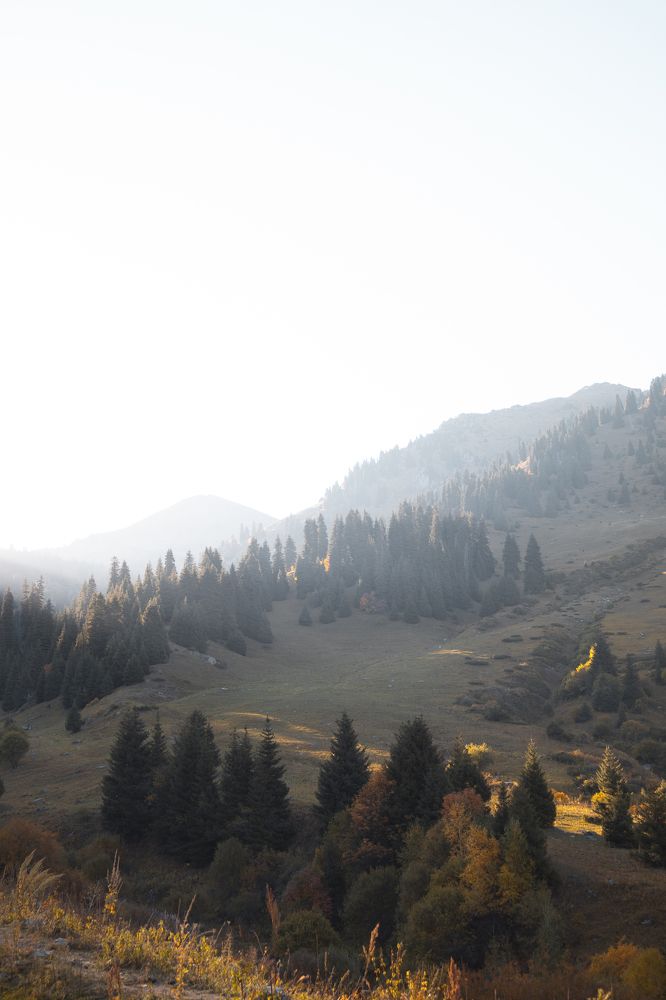 Photograph by Даниил Щербаков