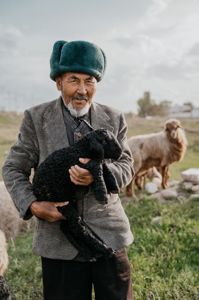 Photograph by асылбек