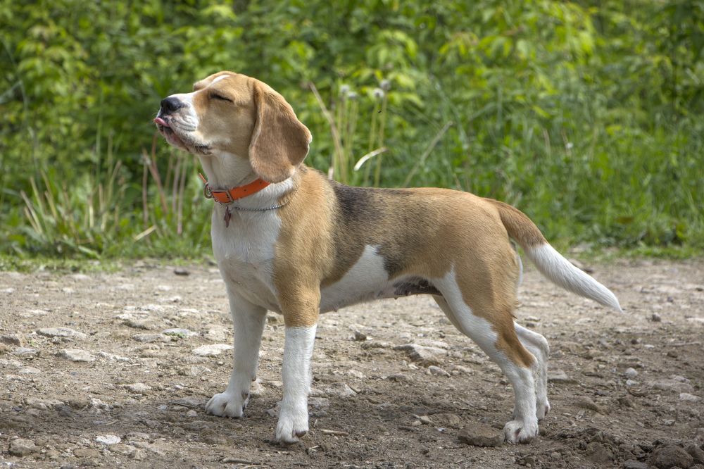 Photograph by Анастасия Северюхина