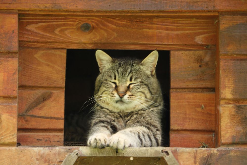 Photograph by Cengiz Yalcin