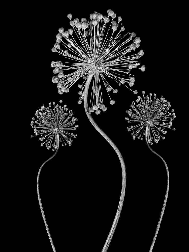 Photograph by Андрей Васильев