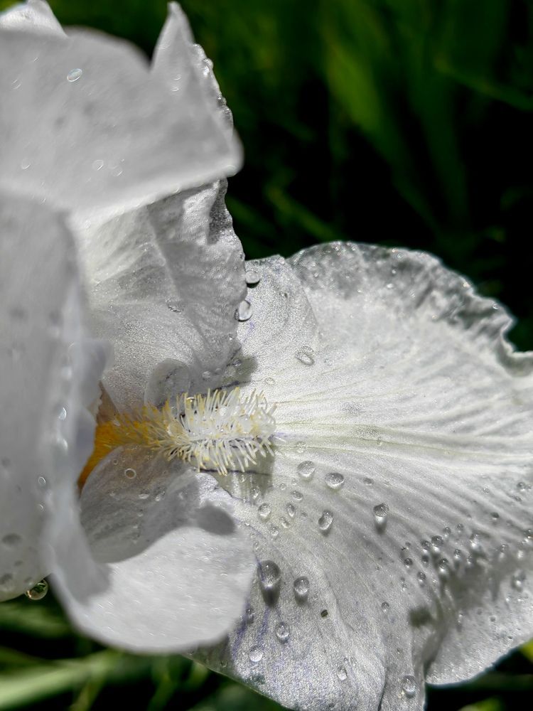 Photograph by Полина Александровна