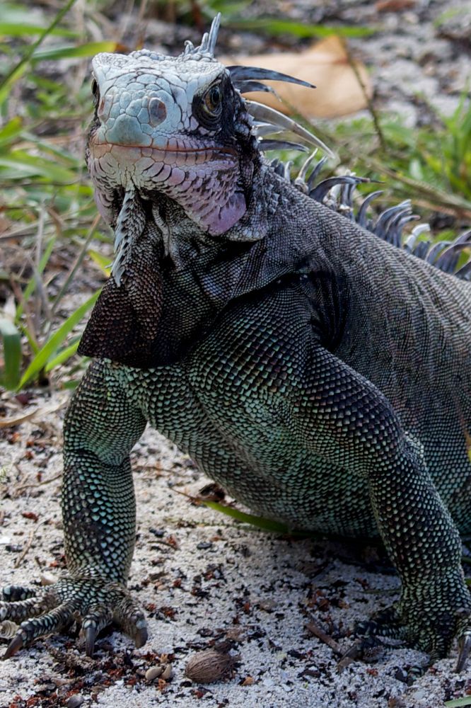 Photograph by Илья Ушак