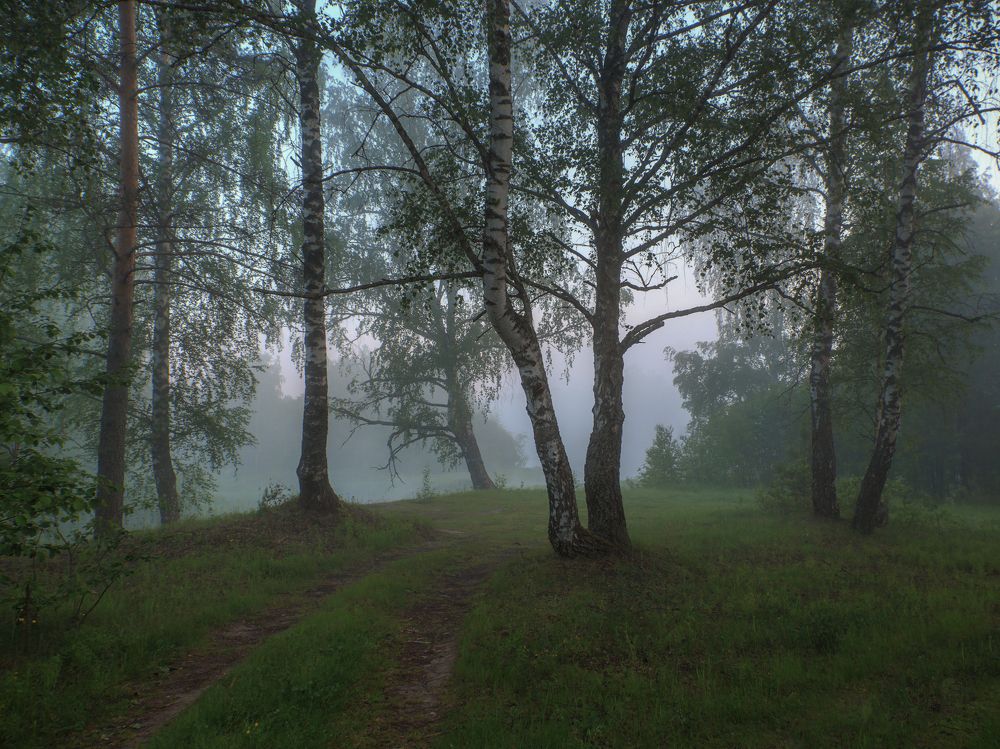 Photograph by Александр Литвинов