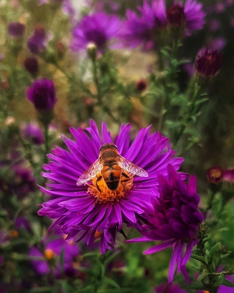 Photograph by Наталия Игоревна