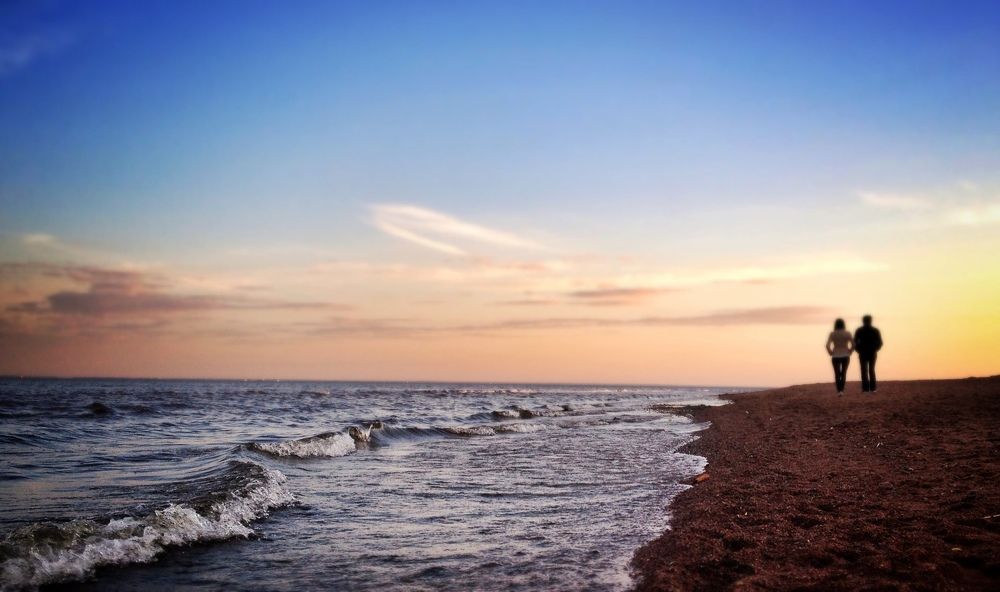 Просто друзья