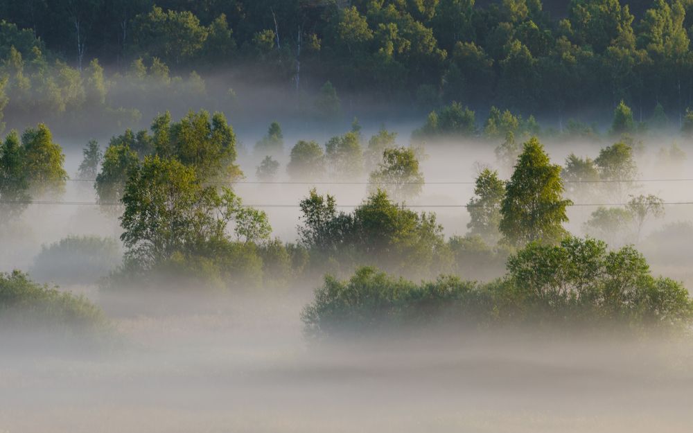 Photograph by Alexey S