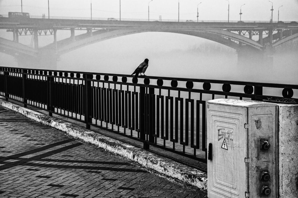 Photograph by Сергей Абашкин