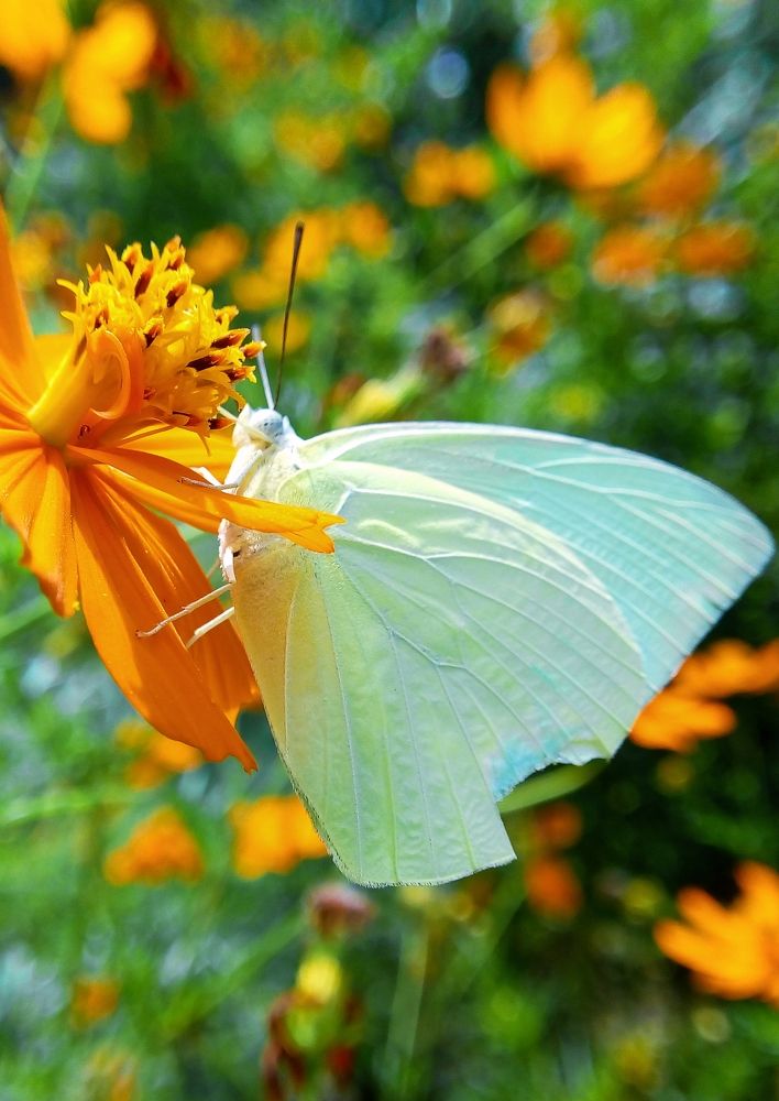 Photograph by Sudeshna Chanda