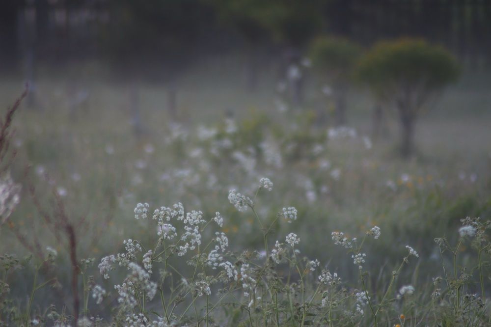 Фотография автора Егоров Максим