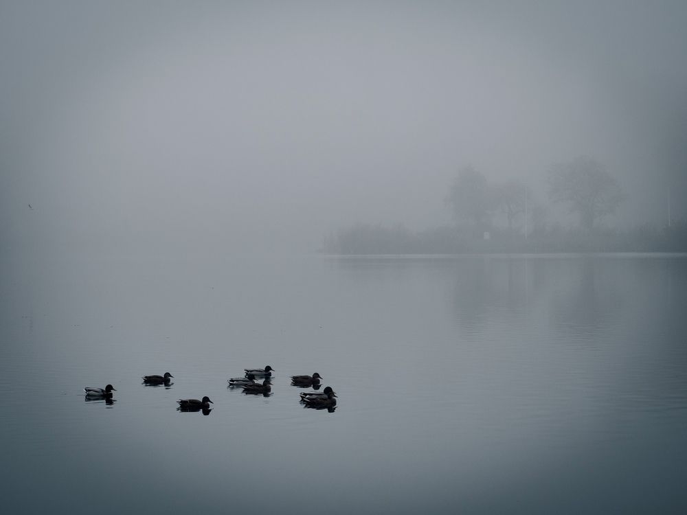 Photograph by Роман Суковач