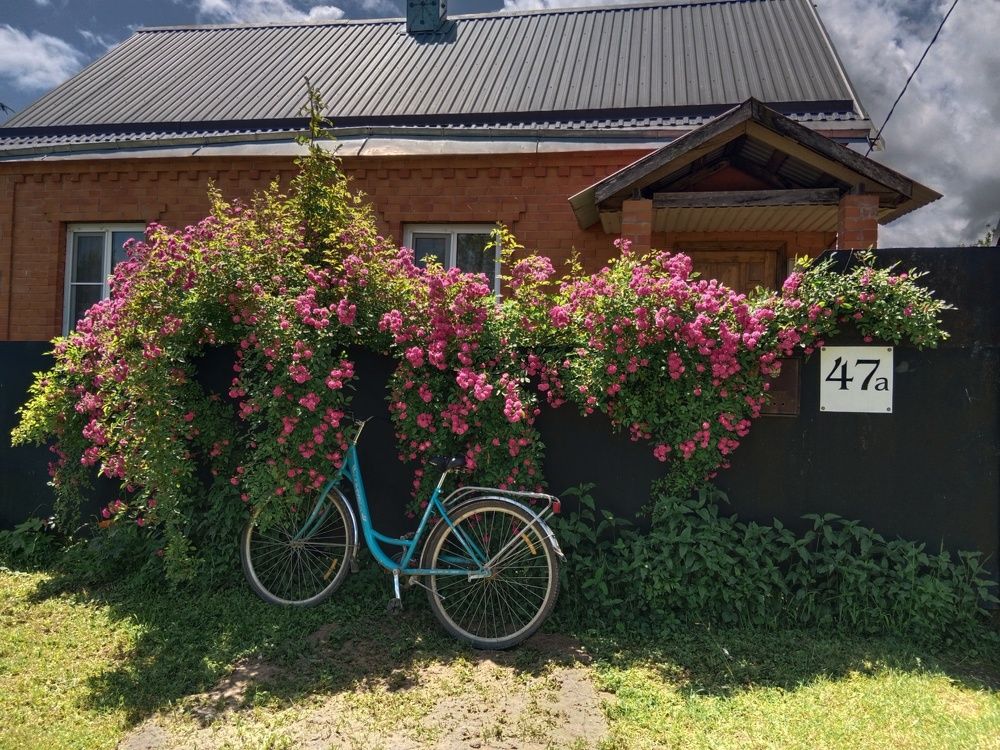 Photograph by Галина Григорьева