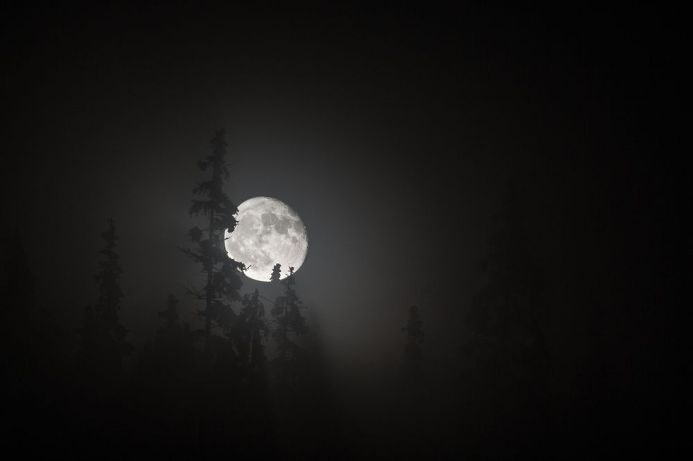 У избы бабы-яги.