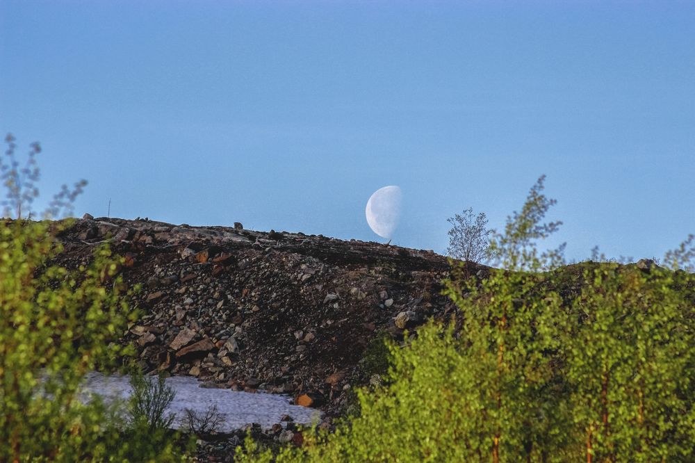 Photograph by Виктория Браун