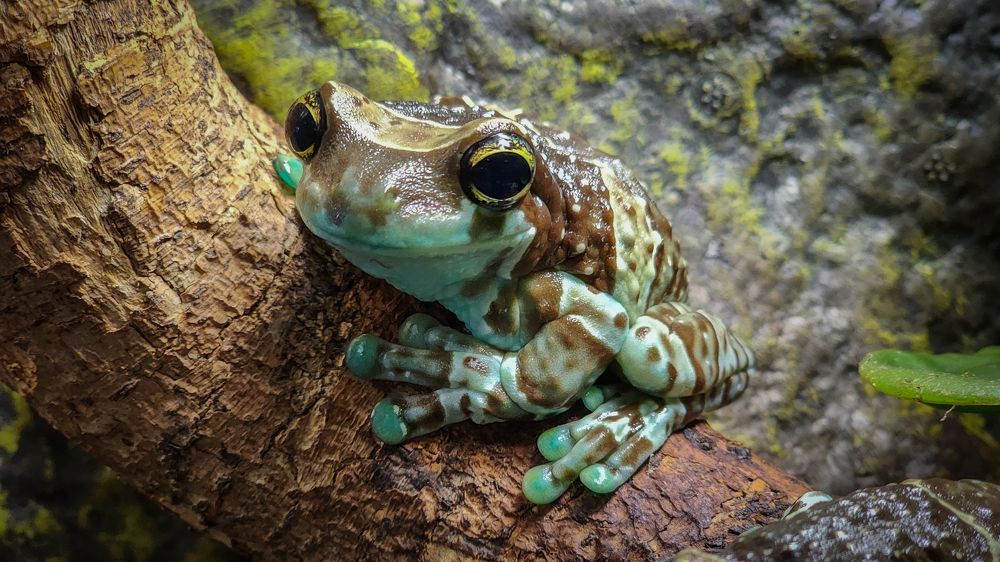 Photograph by Филиппов Олег