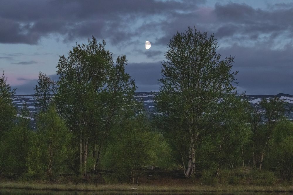 Photograph by Виктория Браун