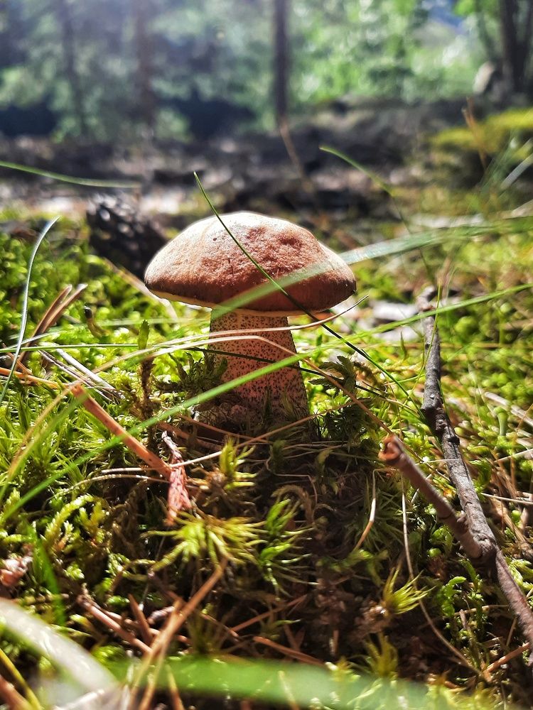 Photograph by Наталия Игоревна