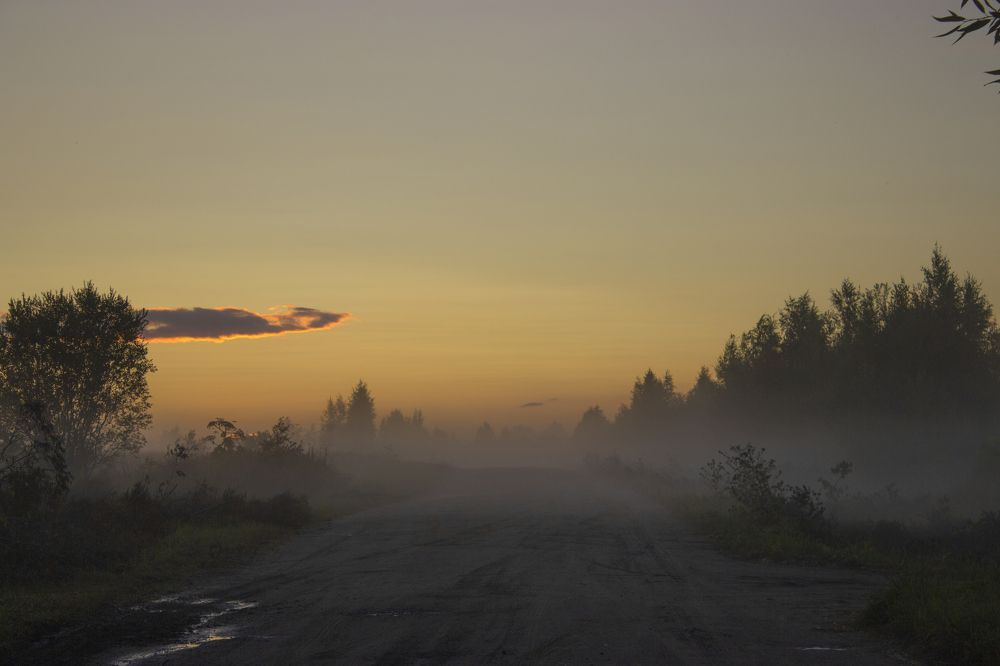 Photograph by Виктория Браун