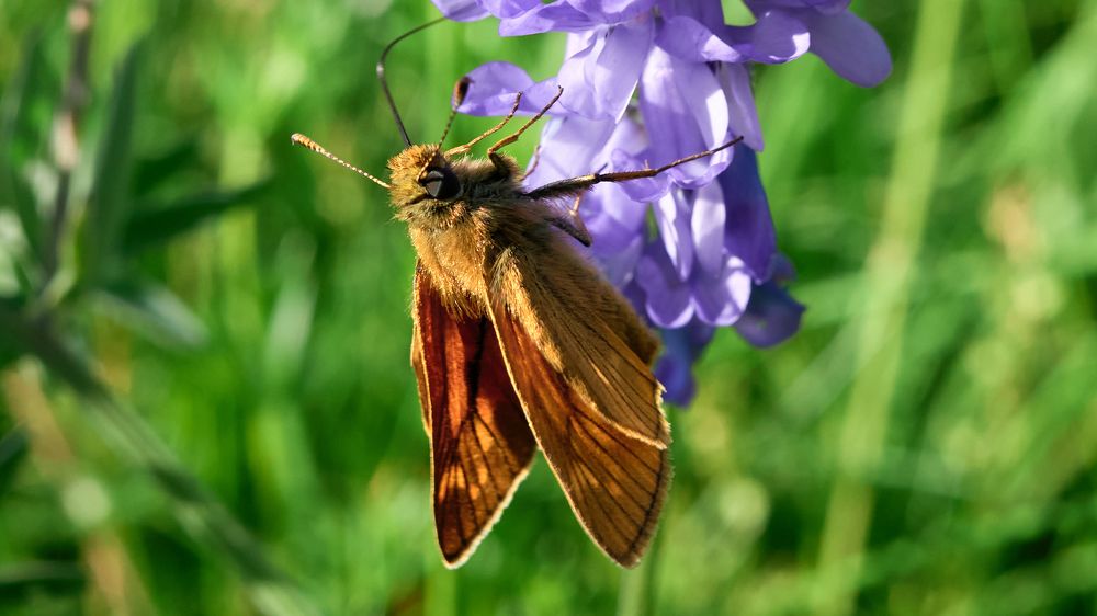 Photograph by сергей воробьёв