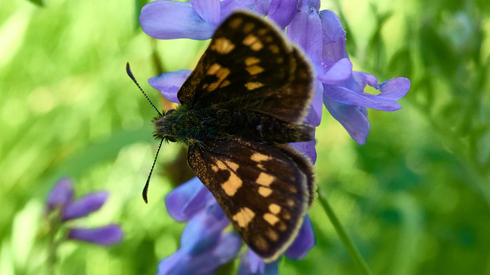 Photograph by сергей воробьёв