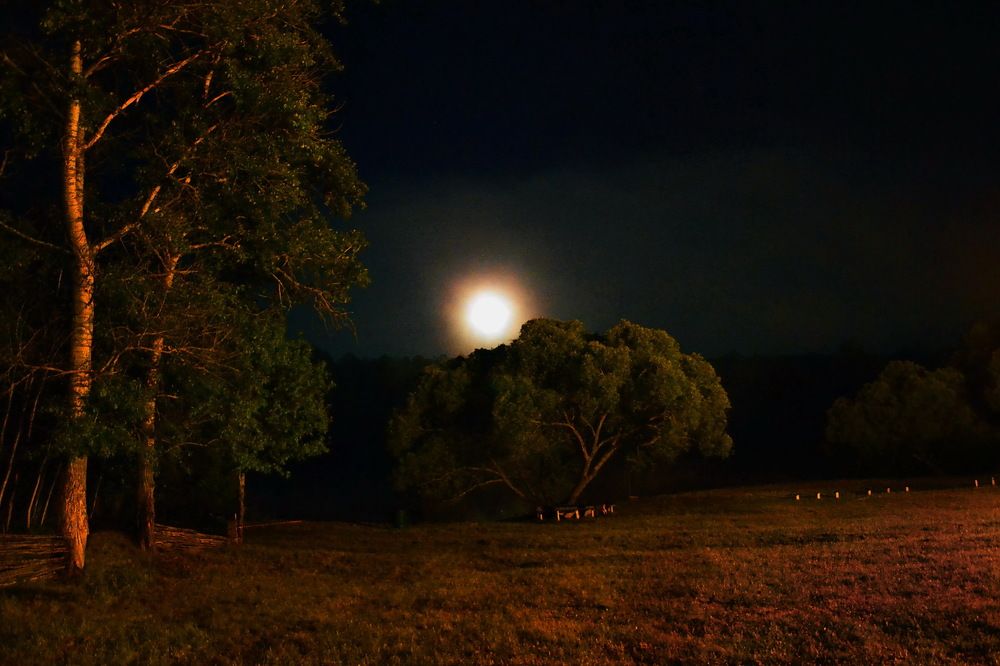 Photograph by Дмитрий Волков