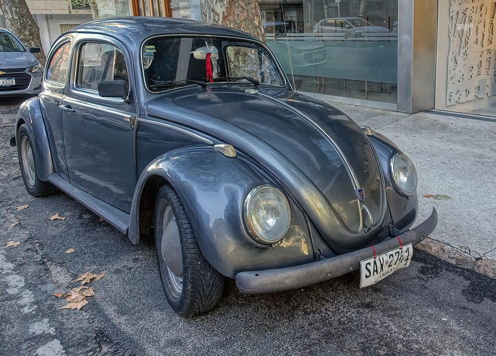 Photograph by Marcelo Luzzi