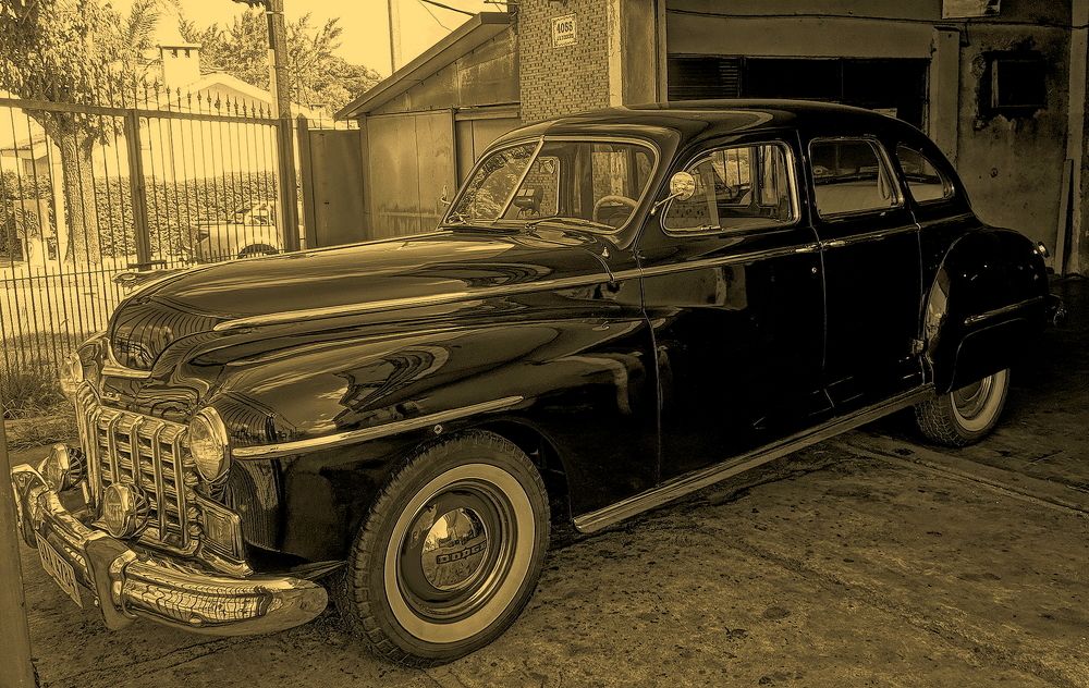 Photograph by Marcelo Luzzi